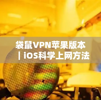 袋鼠VPN苹果版本|iOS科学上网方法 袋鼠VPN苹果版本|iOS科学上网方法