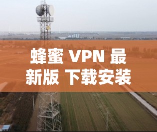 蜂蜜 VPN 最新版 下载安装