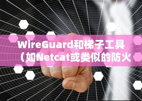 WireGuard和梯子工具（如Netcat或类似的防火墙配置工具）是用于网络安全和防火墙管理的工具。它们可以结合使用以提供更全面的防护和管理