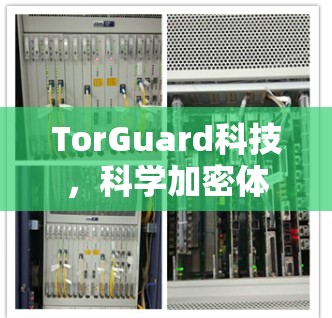 TorGuard科技，科学加密体验
