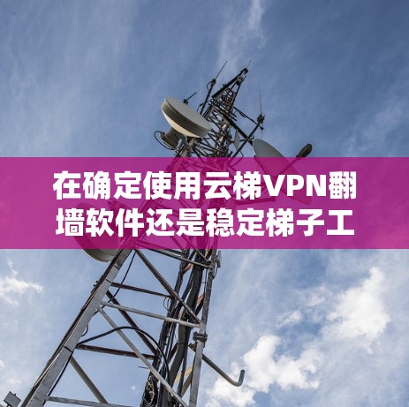 在确定使用云梯VPN翻墙软件还是稳定梯子工具时，应综合考虑用户的实际需求和使用场景。以下是对两种工具的选择建议