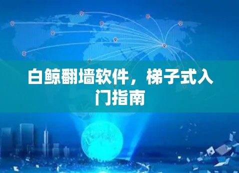 白鲸翻墙软件，梯子式入门指南