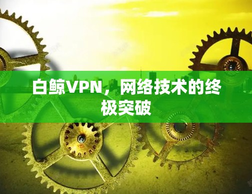 白鲸VPN，网络技术的终极突破