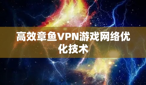 高效章鱼VPN游戏网络优化技术
