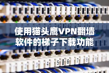 使用猫头鹰VPN翻墙软件的梯子下载功能是一项专业的操作，需要对技术有一定的了解。以下是对该功能的详细步骤和解释