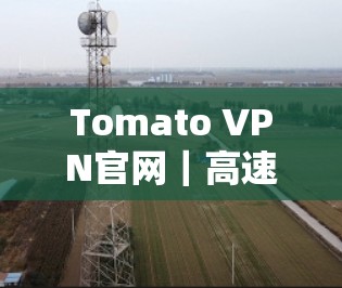 Tomato VPN官网｜高速VPN加速器，选择你，那就选Tomato VPN！