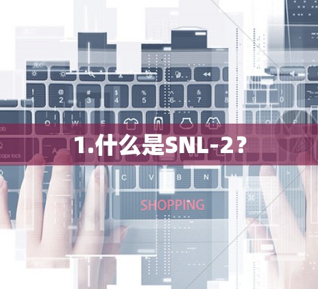 1.什么是SNL-2? 1.什么是SNL-2?