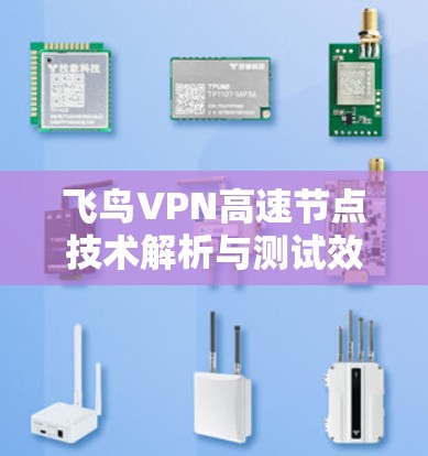 飞鸟VPN高速节点技术解析与测试效果分析