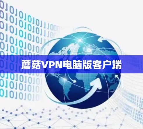 蘑菇VPN电脑版客户端