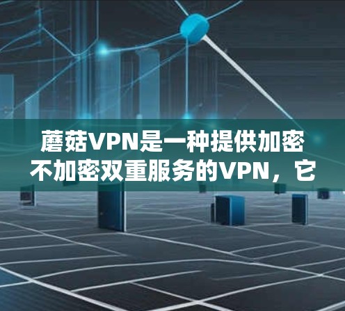 蘑菇VPN是一种提供加密不加密双重服务的VPN，它通过使用特定的加密算法和加密设置，让用户在没有加密设备的情况下访问互联网。以下是对蘑菇VPN科学上网设置的详细步骤和分析