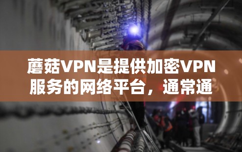 蘑菇VPN是提供加密VPN服务的网络平台，通常通过多点服务器和加密技术来保障流量的安全。测速排行用于评估各个节点的流量速度，帮助识别潜在的网络攻击点和优化网络性能