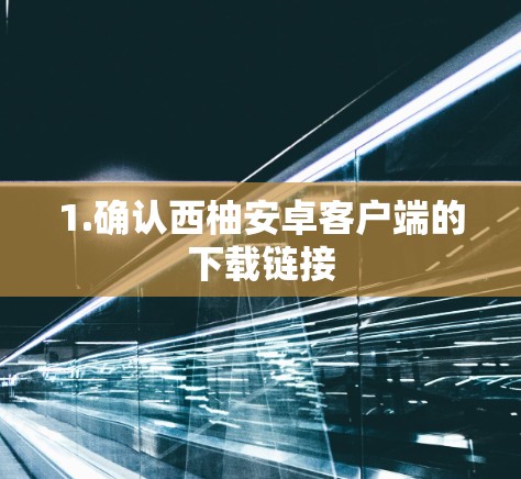 1.确认西柚安卓客户端的下载链接