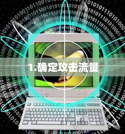 1.确定攻击流量