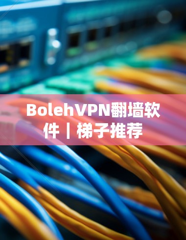 BolehVPN翻墙软件｜梯子推荐