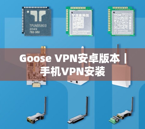 Goose VPN安卓版本｜手机VPN安装