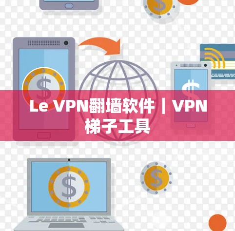 Le VPN翻墙软件｜VPN梯子工具