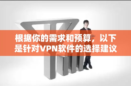 根据你的需求和预算，以下是针对VPN软件的选择建议