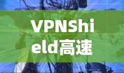 VPNShield高速线路是一种用于高速VPN连接的特殊设备,通常由高速路由器或VPN服务器组成,以提供强大的加密和连接速度。以下是关于该技术的详细信息 VPNShield高速线路是一种用于高速VPN连接的特殊设备,通常由高速路由器或VPN服务器组成,以提供强大的加密和连接速度。以下是关于该技术的详细信息
