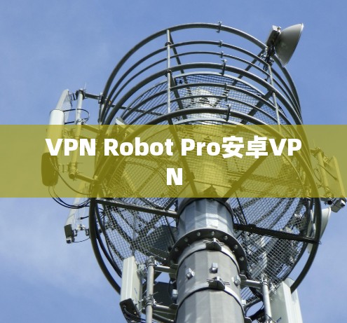 VPN Robot Pro安卓VPN