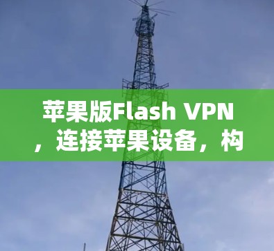 苹果版Flash VPN，连接苹果设备，构建更加安全的网络环境