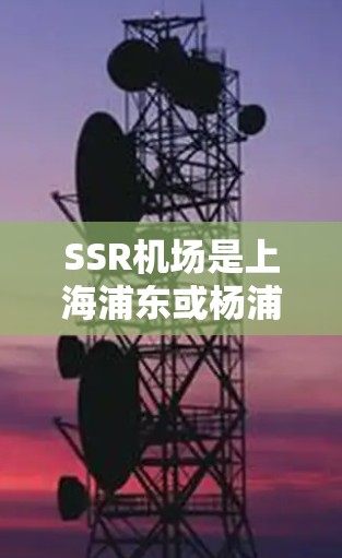 SSR机场是上海浦东或杨浦的一个大型国际航空枢纽，以其丰富的设施和舒适的环境吸引了大量游客。以下是对SSR机场的详细分析