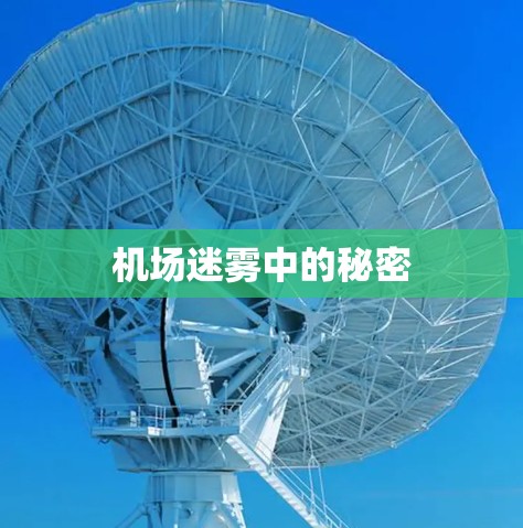 机场迷雾中的秘密