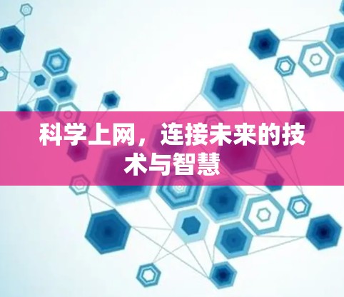 科学上网，连接未来的技术与智慧
