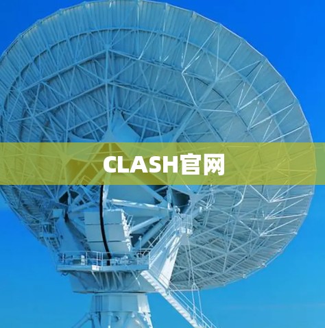 CLASH官网