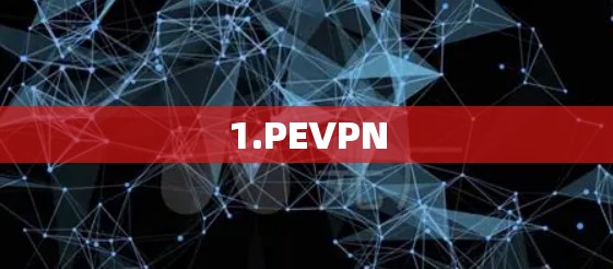 1.PEVPN 1.PEVPN