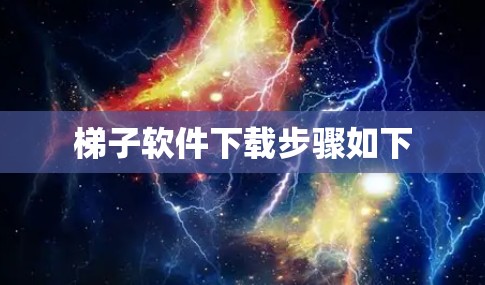 梯子软件下载步骤如下