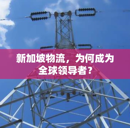 新加坡物流，为何成为全球领导者？