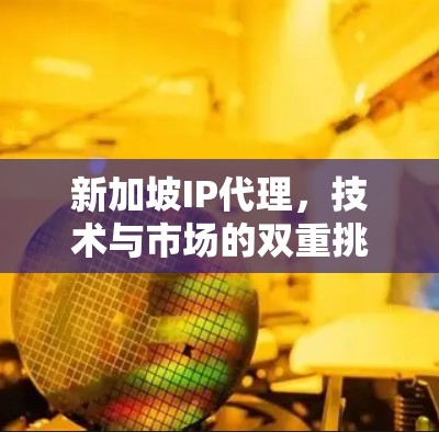 新加坡IP代理，技术与市场的双重挑战