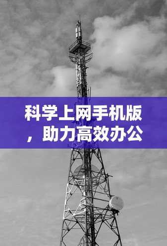 科学上网手机版，助力高效办公与学习