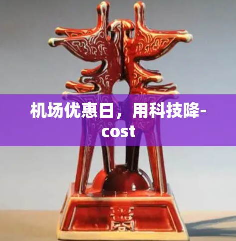 机场优惠日，用科技降-cost