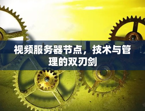 视频服务器节点,技术与管理的双刃剑 视频服务器节点,技术与管理的双刃剑