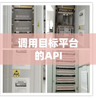 调用目标平台的API