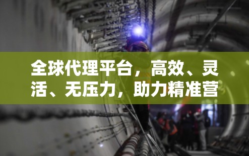 全球代理平台，高效、灵活、无压力，助力精准营销