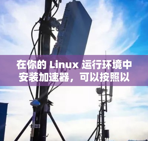 在你的 Linux 运行环境中安装加速器，可以按照以下步骤进行操作
