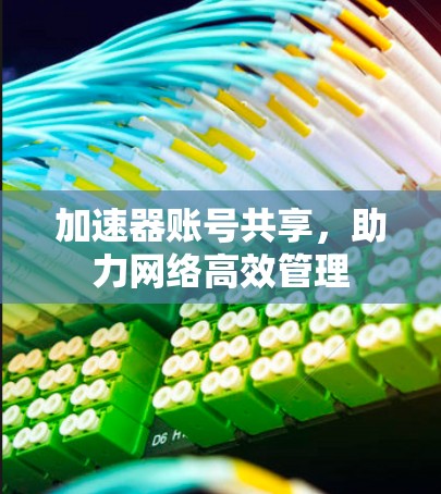 加速器账号共享，助力网络高效管理