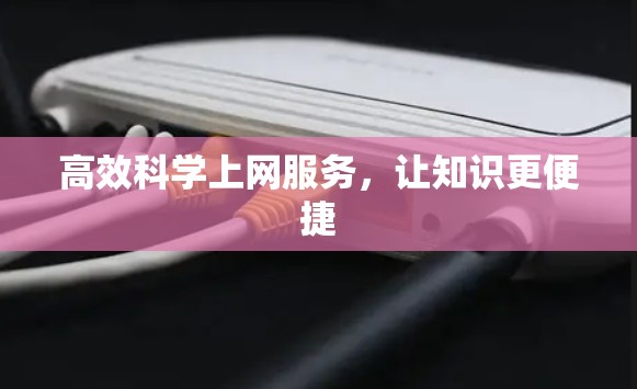 高效科学上网服务，让知识更便捷