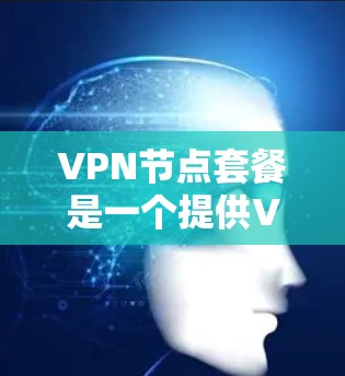 VPN节点套餐是一个提供VPN服务的设备套餐，包括基础和高级功能，满足不同用户的需求。以下是详细介绍