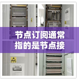 节点订阅通常指的是节点接收或订阅与节点相关的通知、信息或服务。在不同的系统或应用中，节点订阅和更新的工作流程可能有所不同。以下是一个通用的节点订阅和更新流程