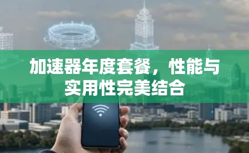 加速器年度套餐，性能与实用性完美结合