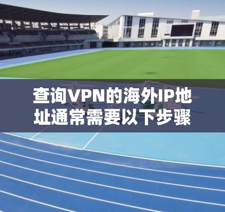 查询VPN的海外IP地址通常需要以下步骤