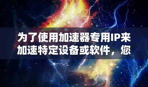 为了使用加速器专用IP来加速特定设备或软件，您可以按照以下步骤进行操作