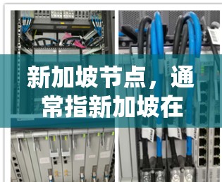新加坡节点，通常指新加坡在特定领域中的核心中心或机构。以下是一些可能的定义
