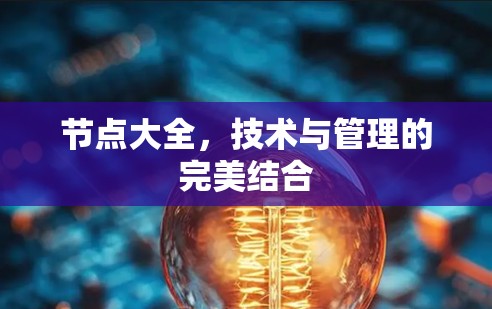 节点大全，技术与管理的完美结合
