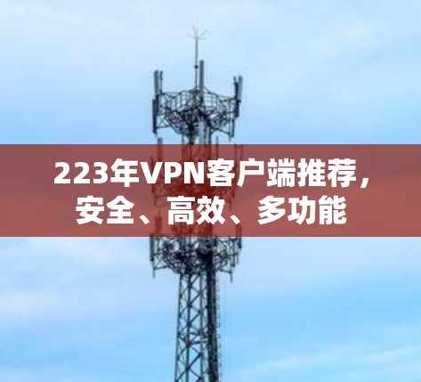 223年VPN客户端推荐，安全、高效、多功能
