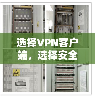 选择VPN客户端，选择安全与稳定
