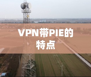 VPN带PIE的特点 VPN带PIE的特点